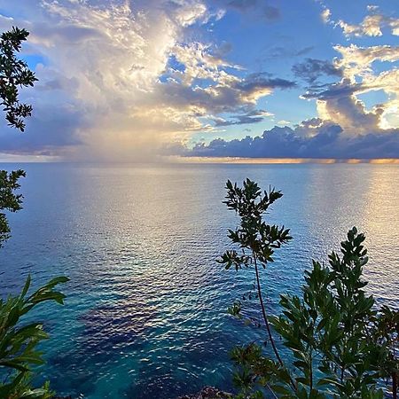 Oceanfront Condo W/ Free Parking + High Speed Wifi Negril Exterior foto